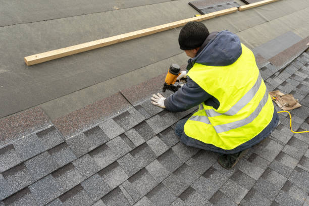 Roof Gutter Cleaning in Pennington Gap, VA